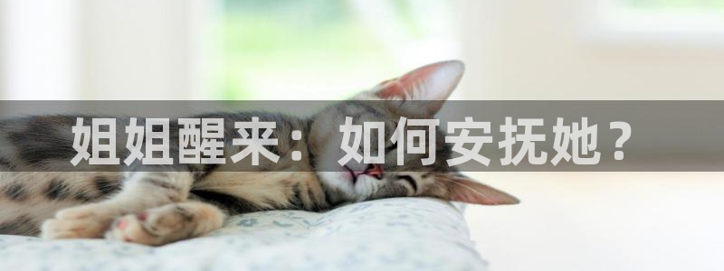 漫画屋官网：姐姐醒来：如何安抚她？